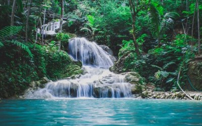 Sudaki TDS nedir