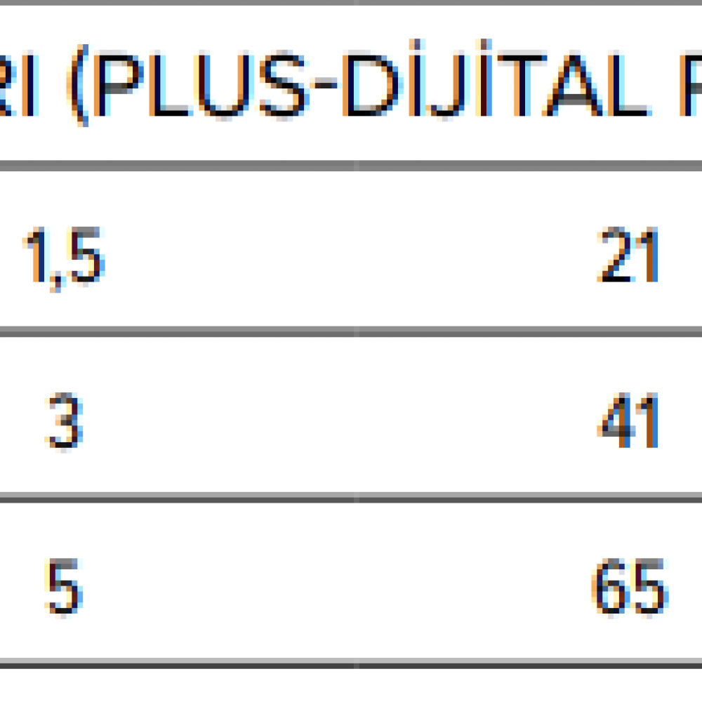 E SERİSİ PLUS - DİJİTAL PANOLU UV CİHAZLARI (SS304 GÖVDELİ)